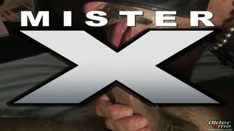 Photo of Mister X Swallows