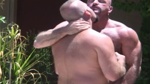 Photo of Bear Interrupted