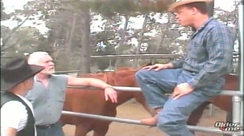 Photo of Wild Wild West